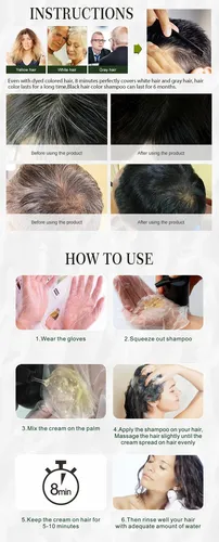 SHAMPOO CUBRE CANAS NEGRO DISAAR - Imagen 3