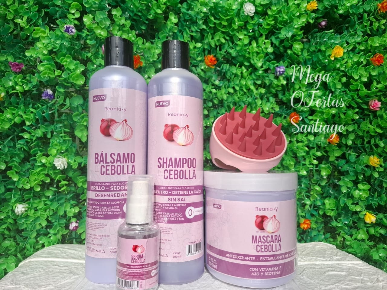 KIT 01 CAIPILAR DE CEBOLLA - Imagen 2