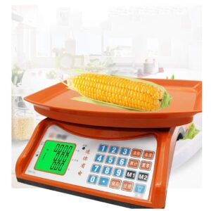 BALANZA DE 40 KILOS CON BANDEJA DE PLASTICO