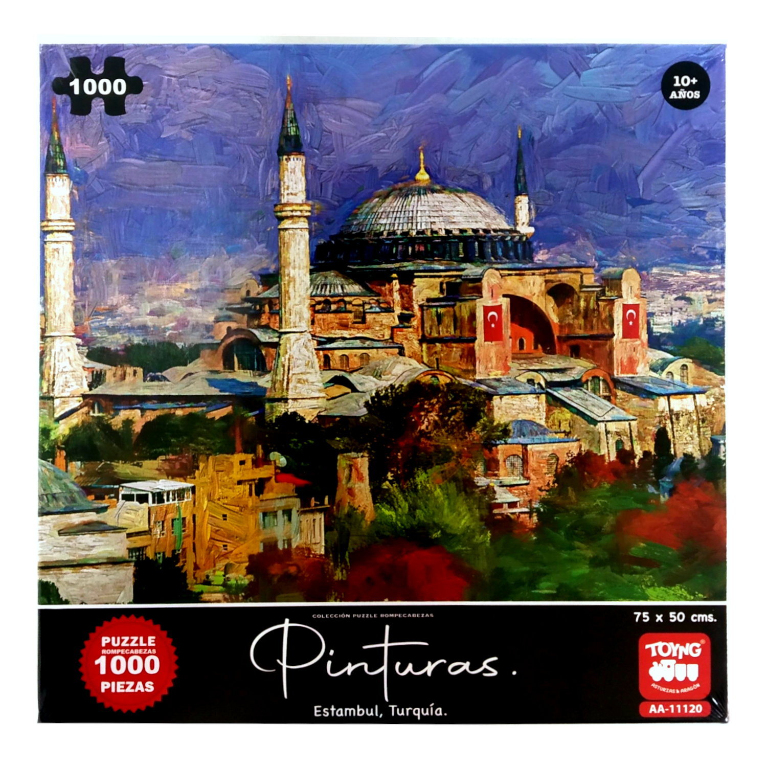 Puzzle 1000 piezas pinturas. estambul