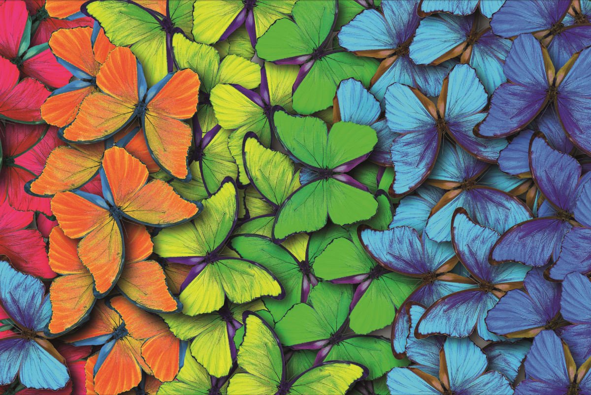 Puzzle 1000 piezas color. mariposas - Imagen 3